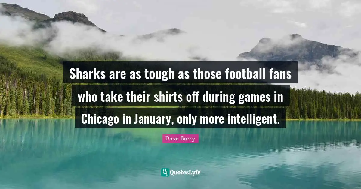 Dave Barry Quotes: Sharks are as tough as those football fans who take their shirts off during games in Chicago in January, only more intelligent.