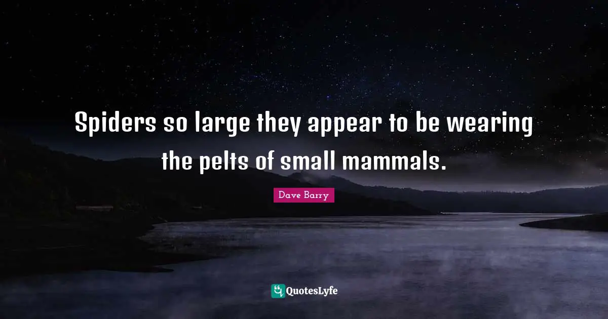 Spiders so large they appear to be wearing the pelts of small mammals.