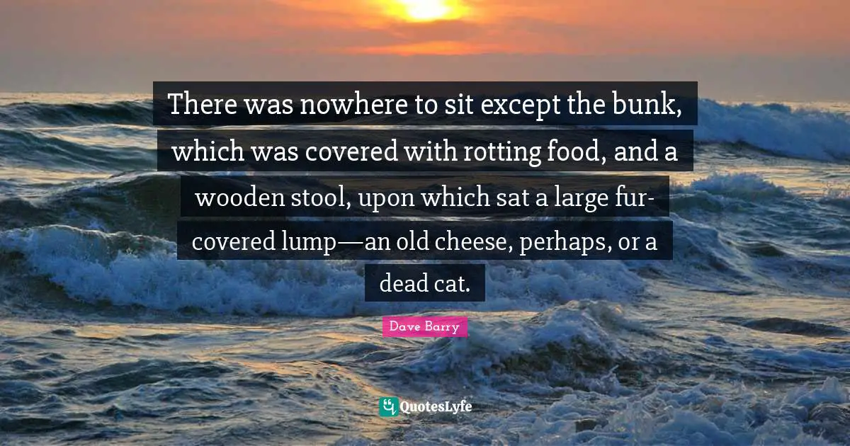 There was nowhere to sit except the bunk, which was covered with rotting food, and a wooden stool, upon which sat a large fur-covered lump—an old cheese, perhaps, or a dead cat.