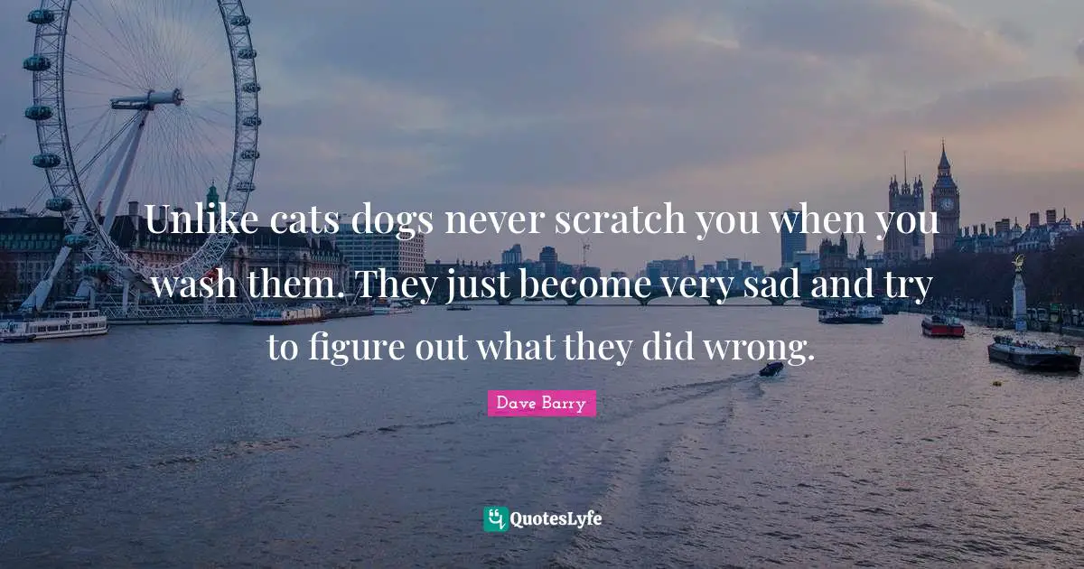 Unlike cats dogs never scratch you when you wash them. They just become very sad and try to figure out what they did wrong.