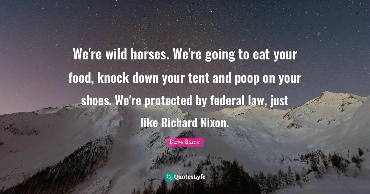 We're wild horses. We're going to eat your food, knock down your tent and poop on your shoes. We're protected by federal law, just like Richard Nixon.