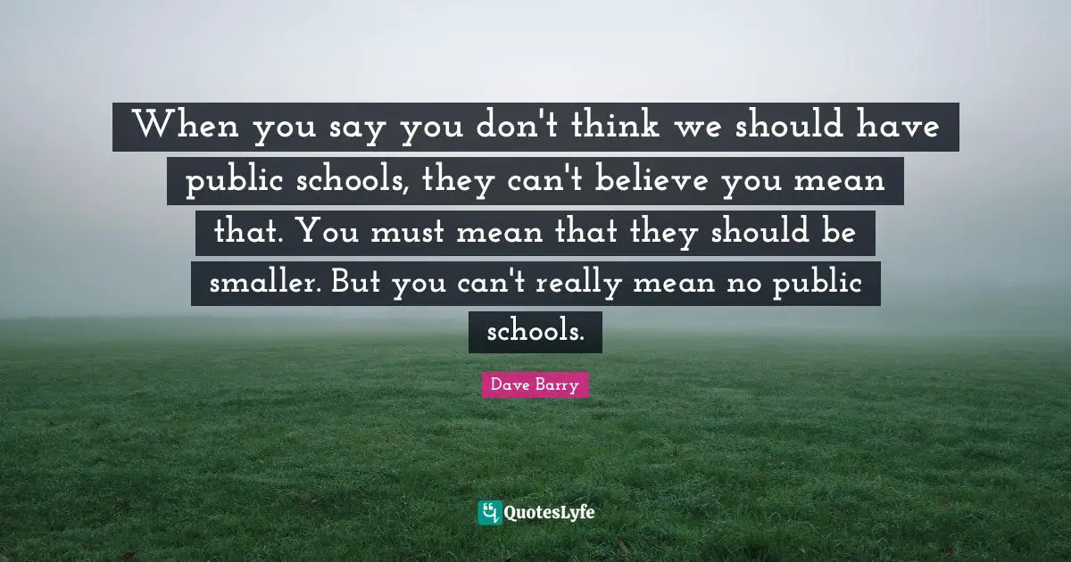When you say you don't think we should have public schools, they can't believe you mean that. You must mean that they should be smaller. But you can't really mean no public schools.