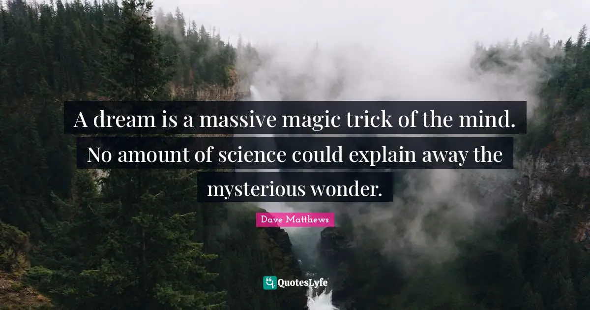 A dream is a massive magic trick of the mind. No amount of science could explain away the mysterious wonder.