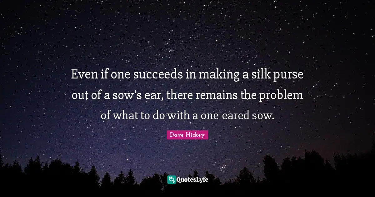 Even if one succeeds in making a silk purse out of a sow's ear, there remains the problem of what to do with a one-eared sow.