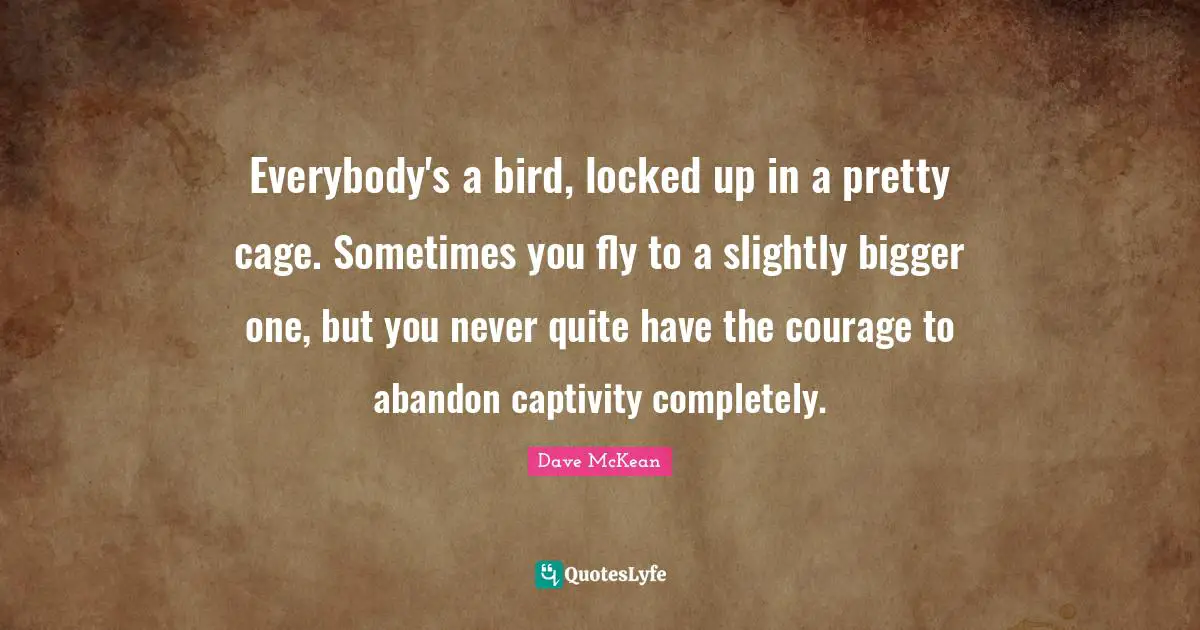 Locked Up Quotes: "Everybody's a bird, locked up in a pretty cage. Sometimes you fly to a slightly bigger one, but you never quite have the courage to abandon captivity completely."