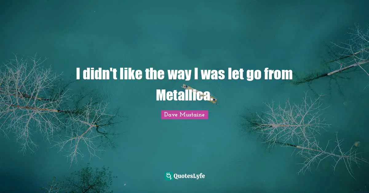 I didn't like the way I was let go from Metallica.