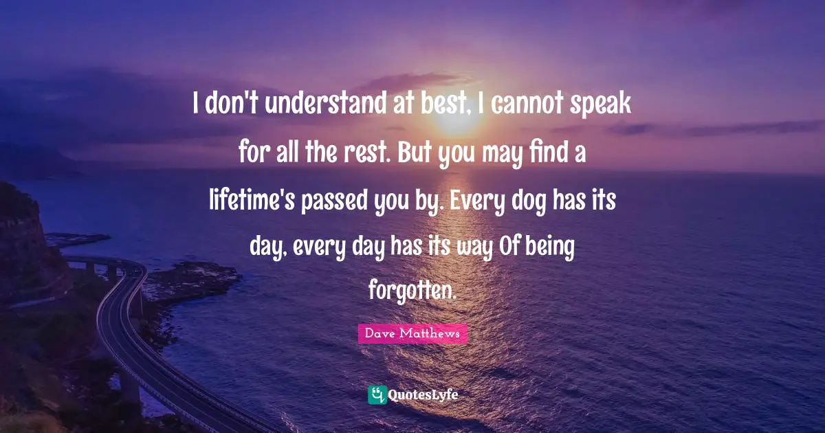 I don't understand at best, I cannot speak for all the rest. But you may find a lifetime's passed you by. Every dog has its day, every day has its way Of being forgotten.