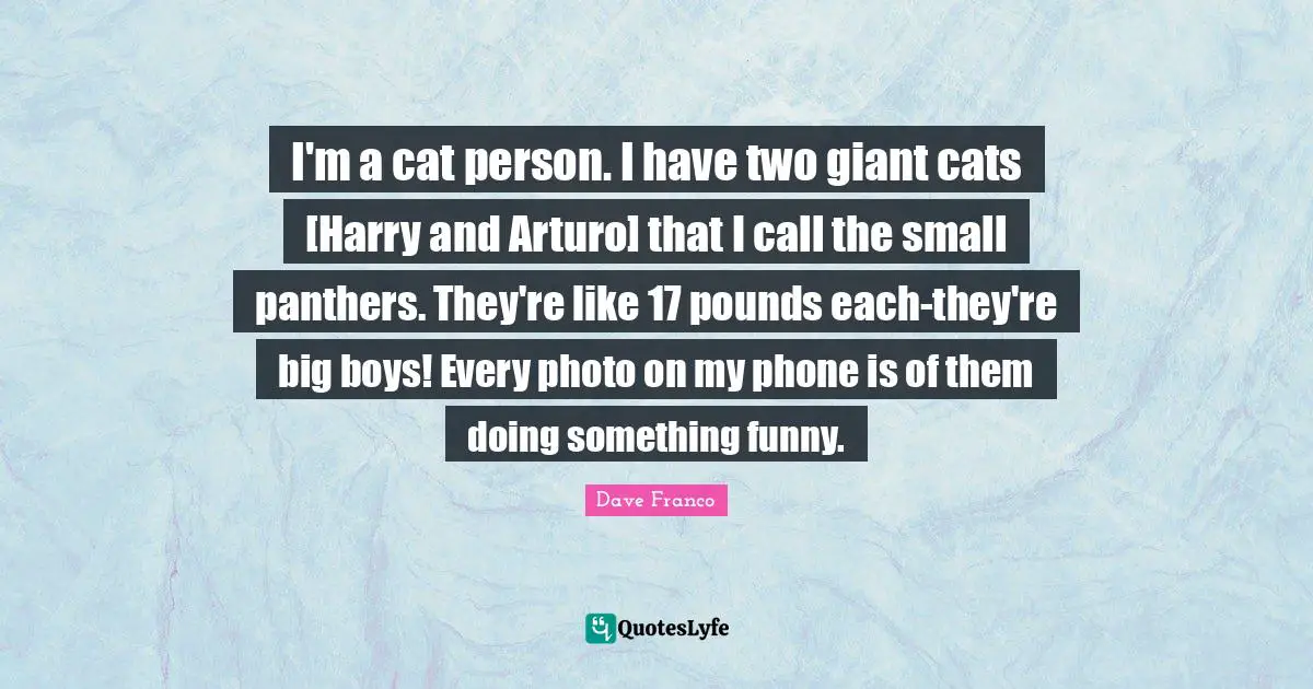 Pounds Quotes: "I'm a cat person. I have two giant cats [Harry and Arturo] that I call the small panthers. They're like 17 pounds each-they're big boys! Every photo on my phone is of them doing something funny."