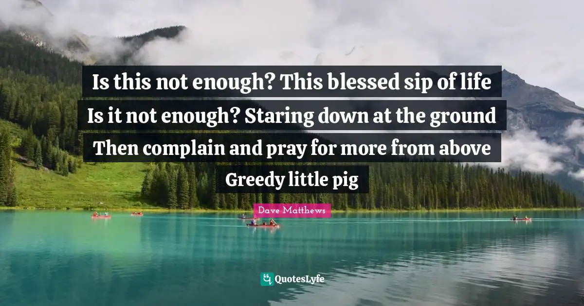 Is this not enough? This blessed sip of life Is it not enough? Staring down at the ground Then complain and pray for more from above Greedy little pig