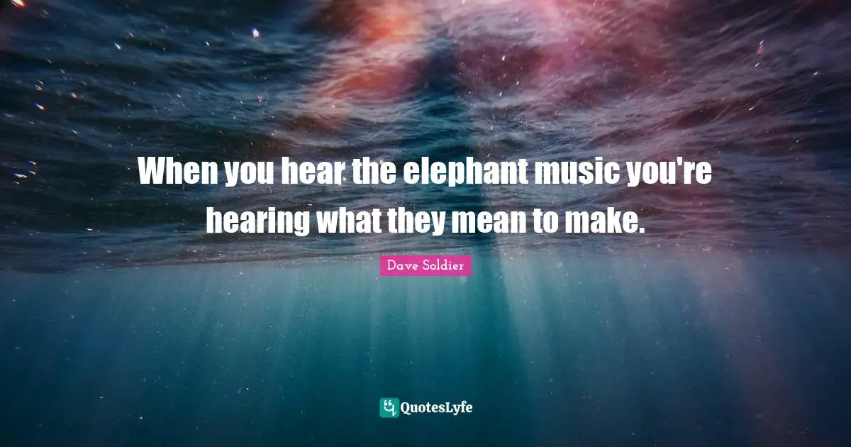 When you hear the elephant music you're hearing what they mean to make.