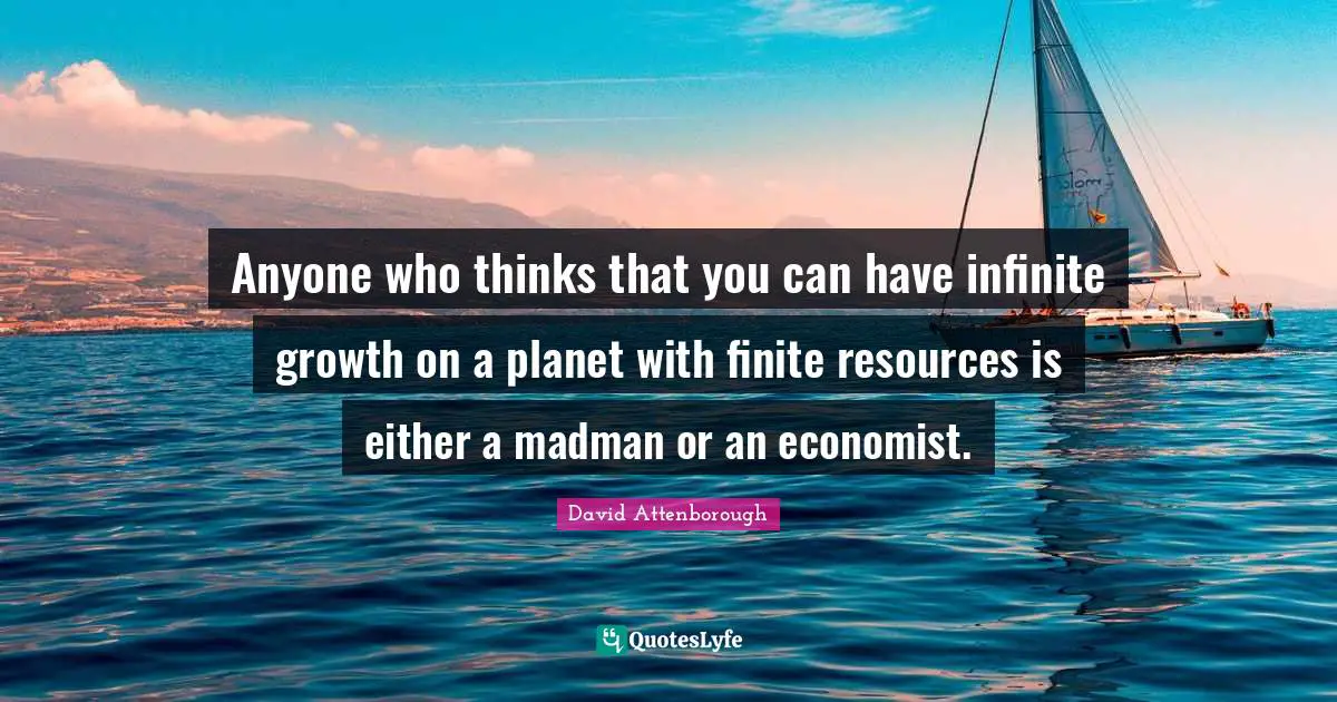 Anyone who thinks that you can have infinite growth on a planet with finite resources is either a madman or an economist.