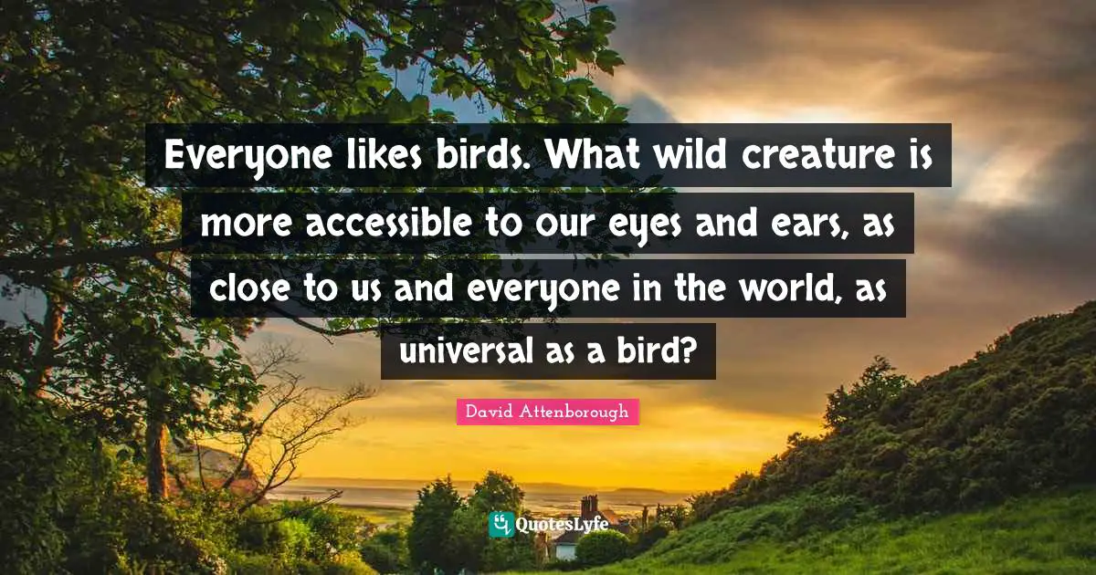 David Attenborough Quotes: Everyone likes birds. What wild creature is more accessible to our eyes and ears, as close to us and everyone in the world, as universal as a bird?