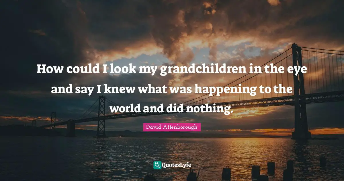 How could I look my grandchildren in the eye and say I knew what was happening to the world and did nothing.