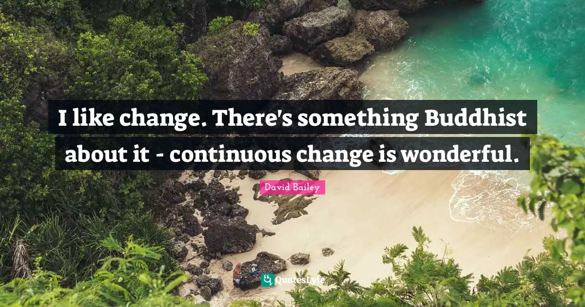 David Bailey Quotes: "I like change. There's something Buddhist about it - continuous change is wonderful."