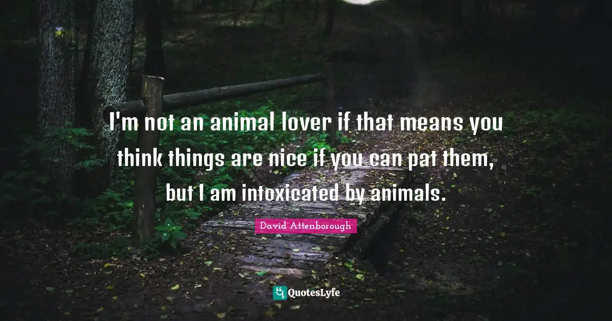 David Attenborough Quotes: I'm not an animal lover if that means you think things are nice if you can pat them, but I am intoxicated by animals.