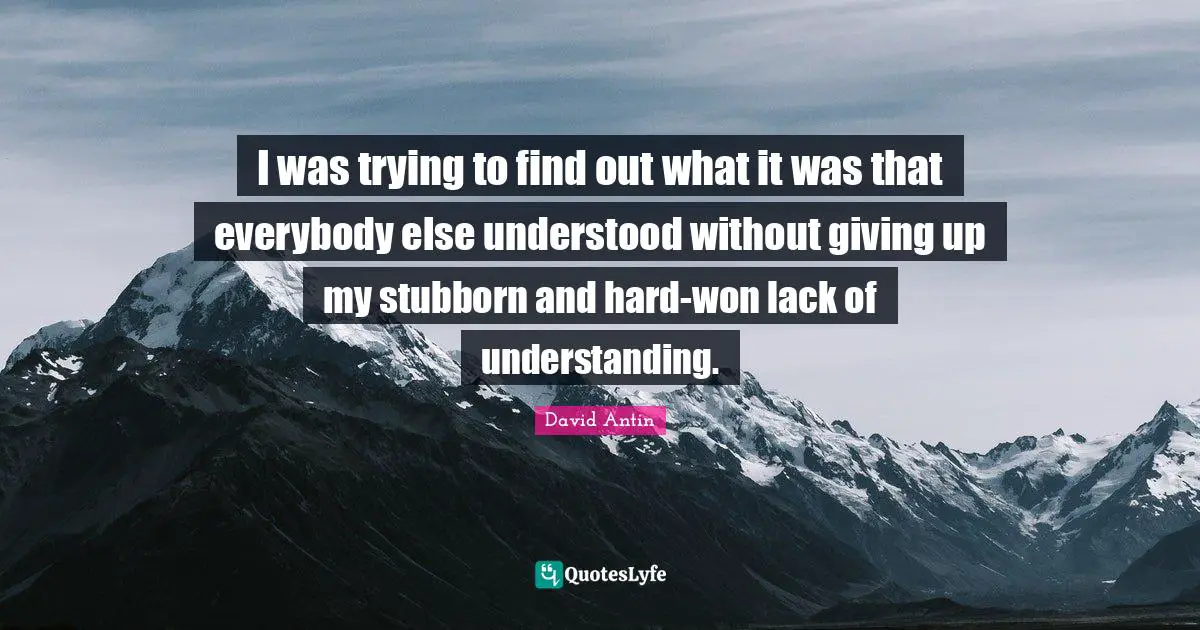 I was trying to find out what it was that everybody else understood without giving up my stubborn and hard-won lack of understanding.
