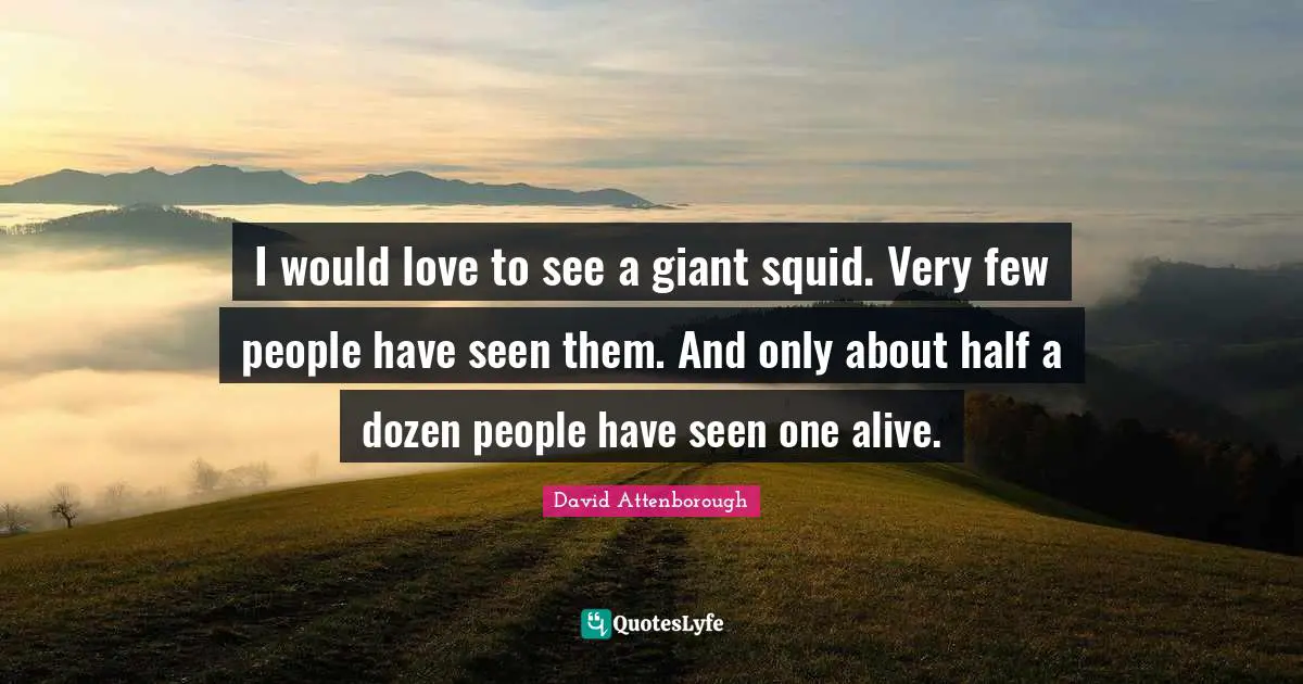 I would love to see a giant squid. Very few people have seen them. And only about half a dozen people have seen one alive.