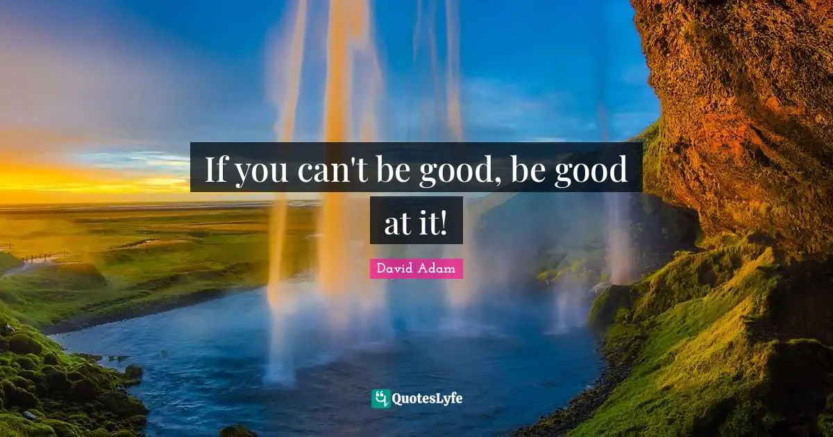 If you can't be good, be good at it!