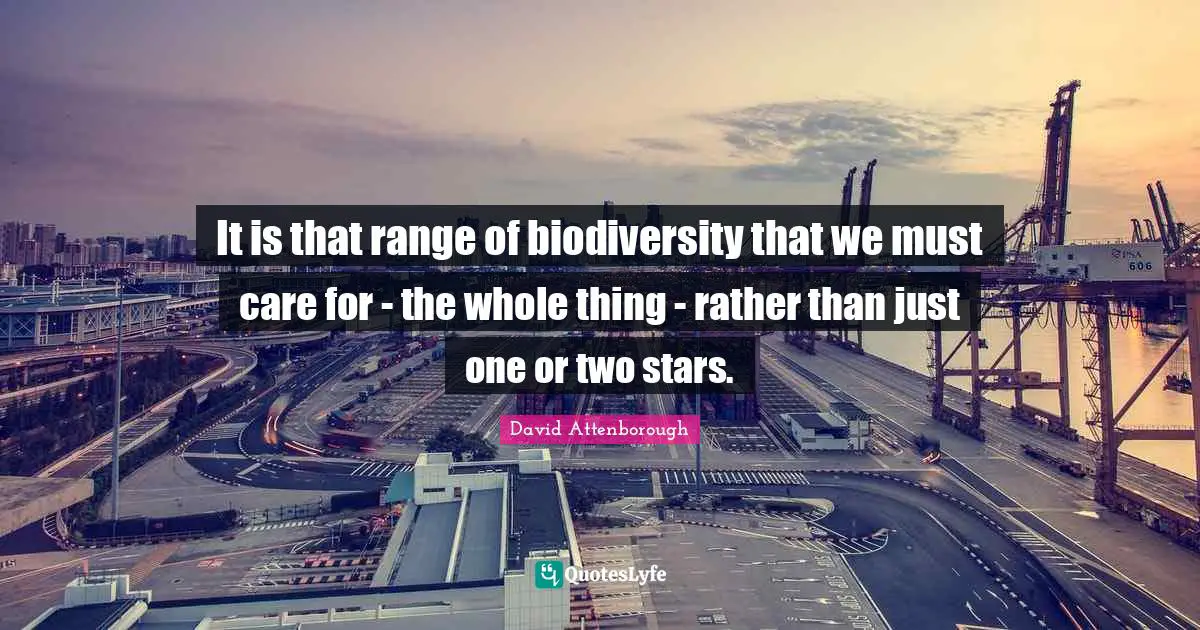 It is that range of biodiversity that we must care for - the whole thing - rather than just one or two stars.