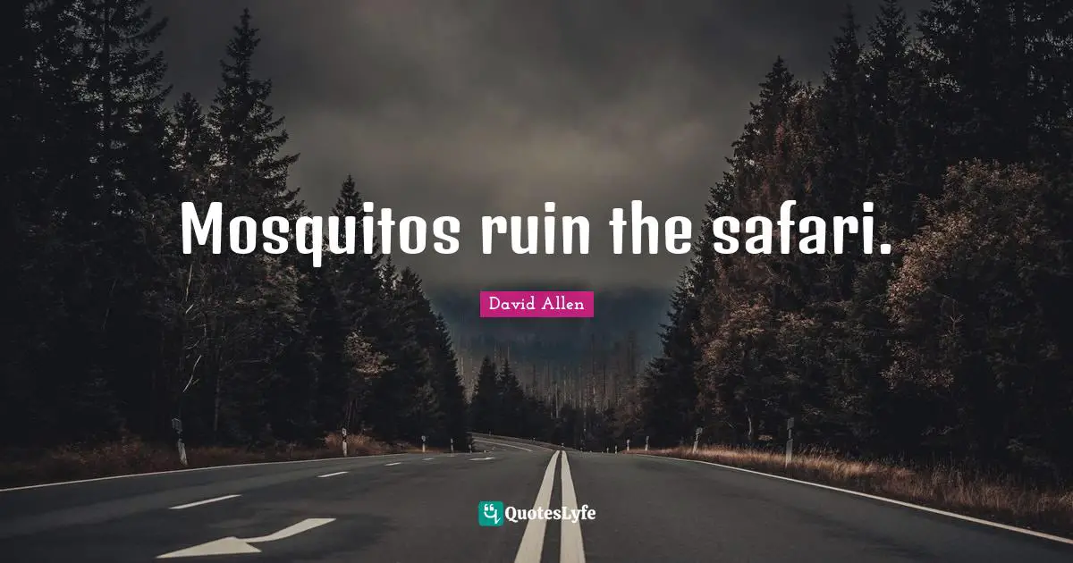 Mosquitos ruin the safari.