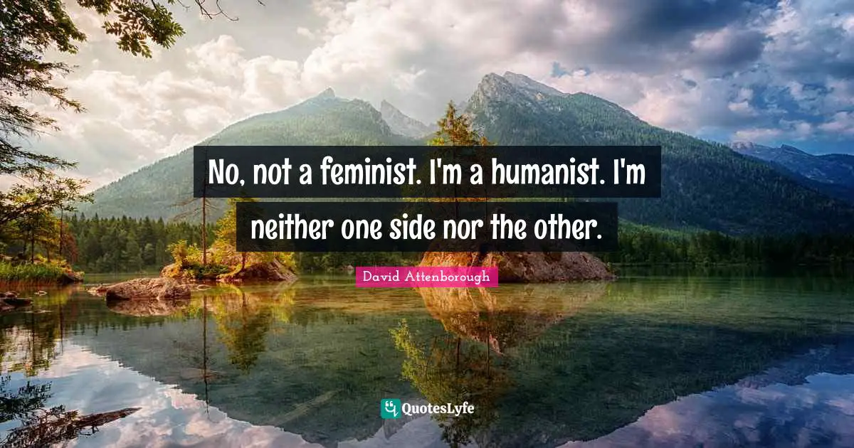 No, not a feminist. I'm a humanist. I'm neither one side nor the other.