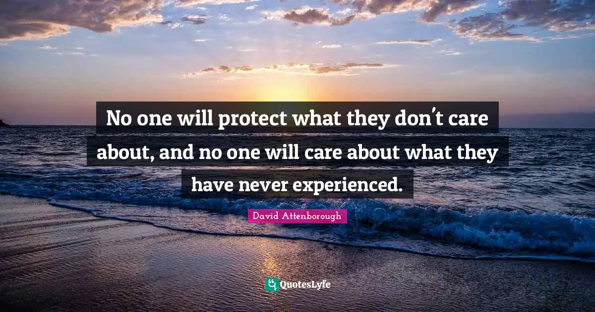 David Attenborough Quotes: No one will protect what they don't care about, and no one will care about what they have never experienced.