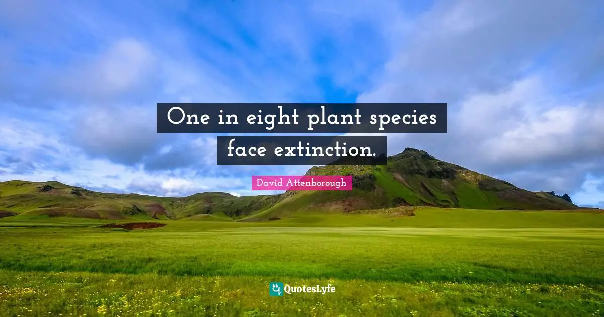 One in eight plant species face extinction.