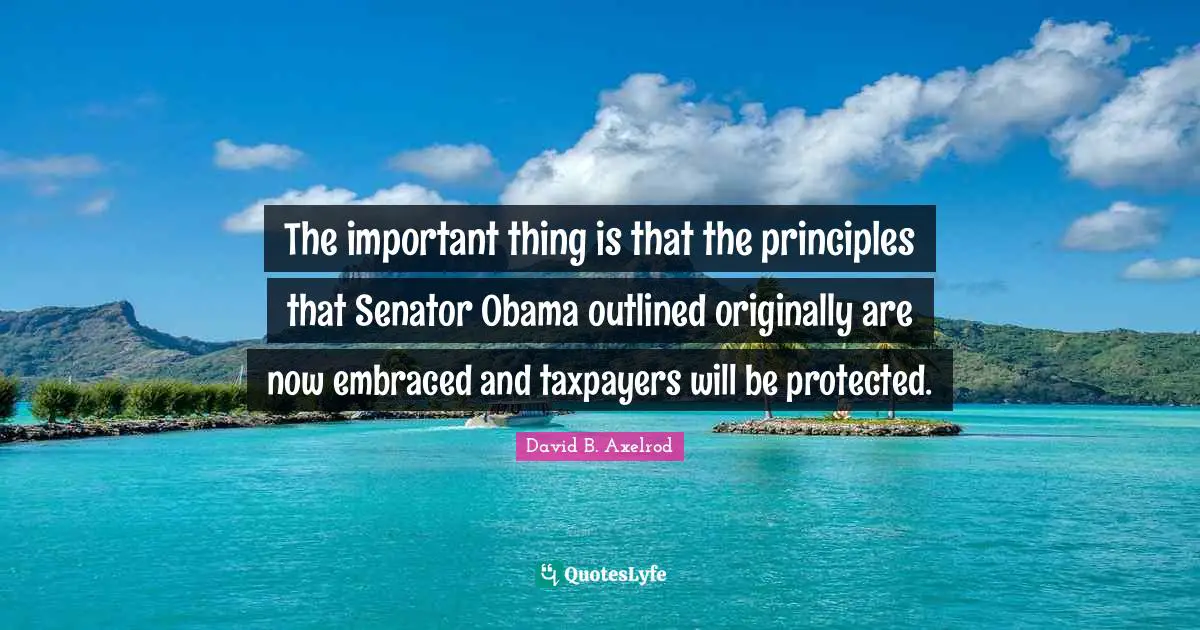 The important thing is that the principles that Senator Obama outlined originally are now embraced and taxpayers will be protected.