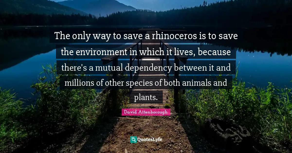 David Attenborough Quotes: The only way to save a rhinoceros is to save the environment in which it lives, because there's a mutual dependency between it and millions of other species of both animals and plants.