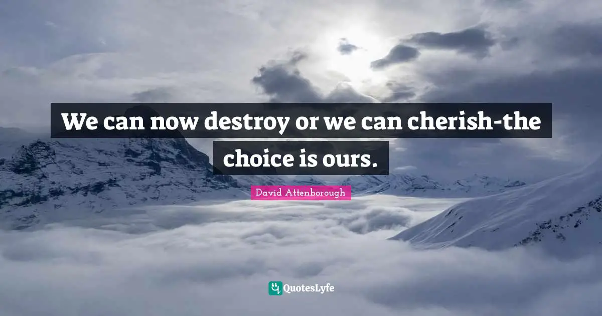 We can now destroy or we can cherish-the choice is ours.