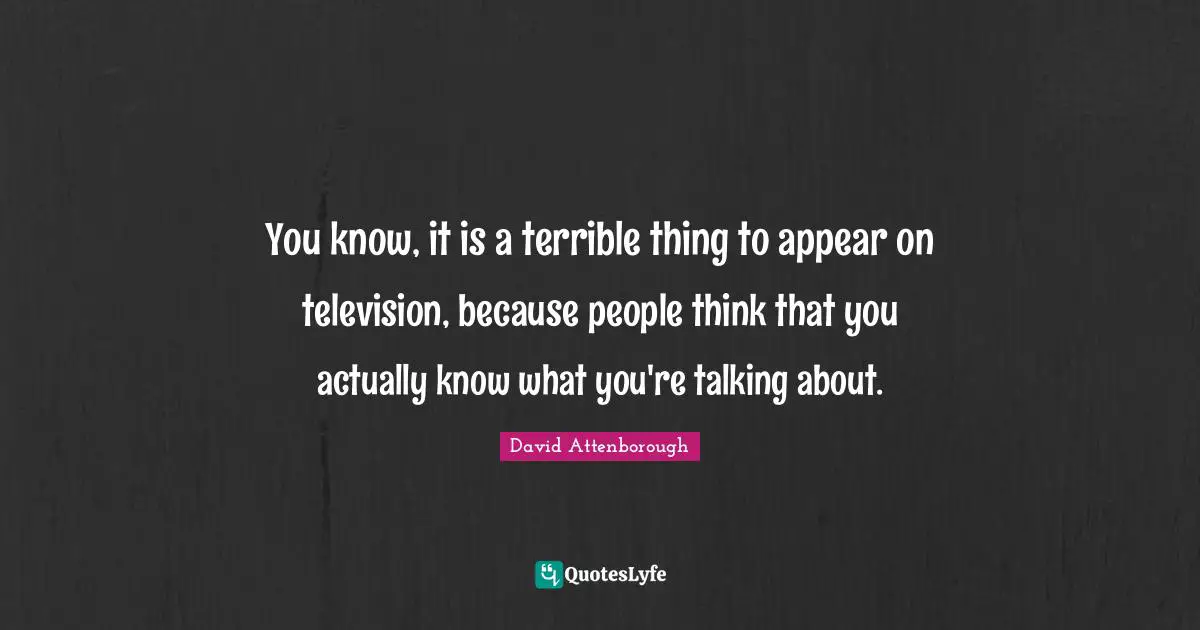 You know, it is a terrible thing to appear on television, because people think that you actually know what you're talking about.