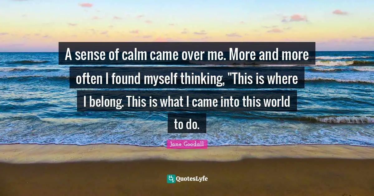 A sense of calm came over me. More and more often I found myself thinking, "This is where I belong. This is what I came into this world to do.