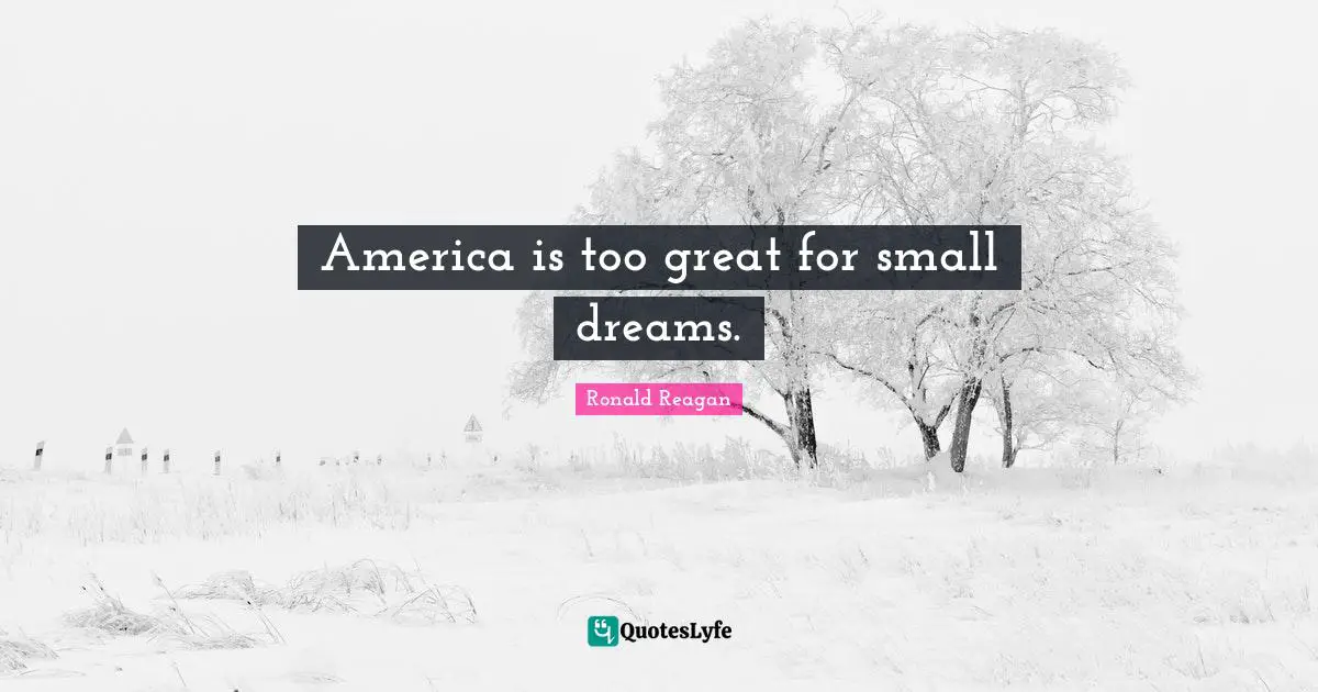 America is too great for small dreams.