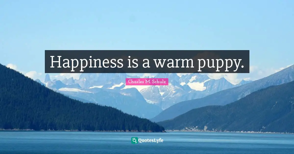 Happiness is a warm puppy.