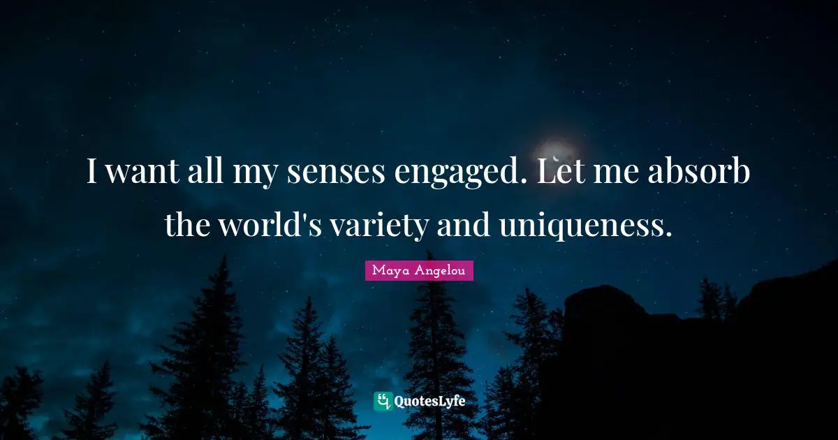 I want all my senses engaged. Let me absorb the world's variety and uniqueness.