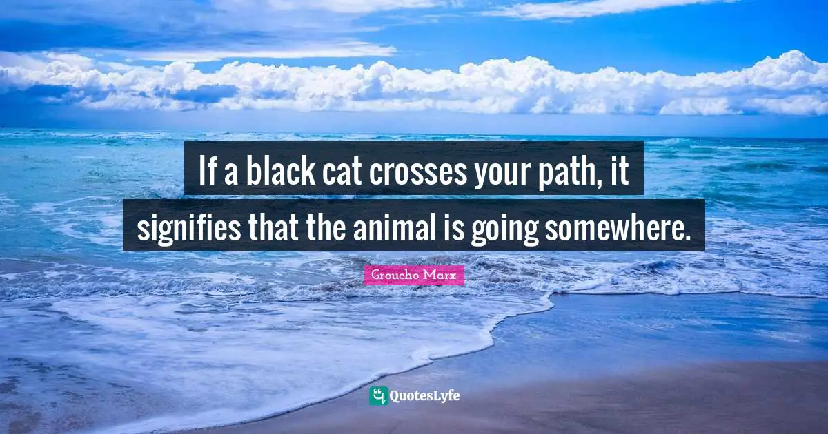 If a black cat crosses your path, it signifies that the animal is going somewhere.