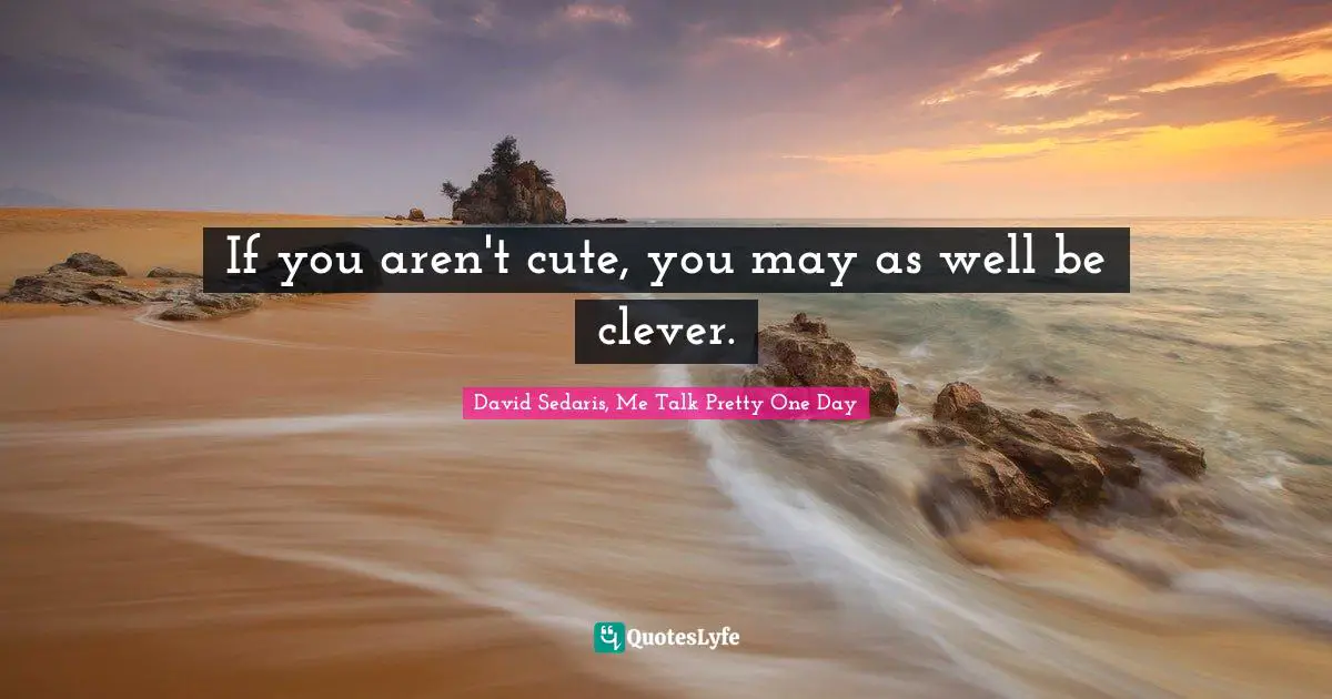 David Sedaris Quotes: "If you aren't cute, you may as well be clever."