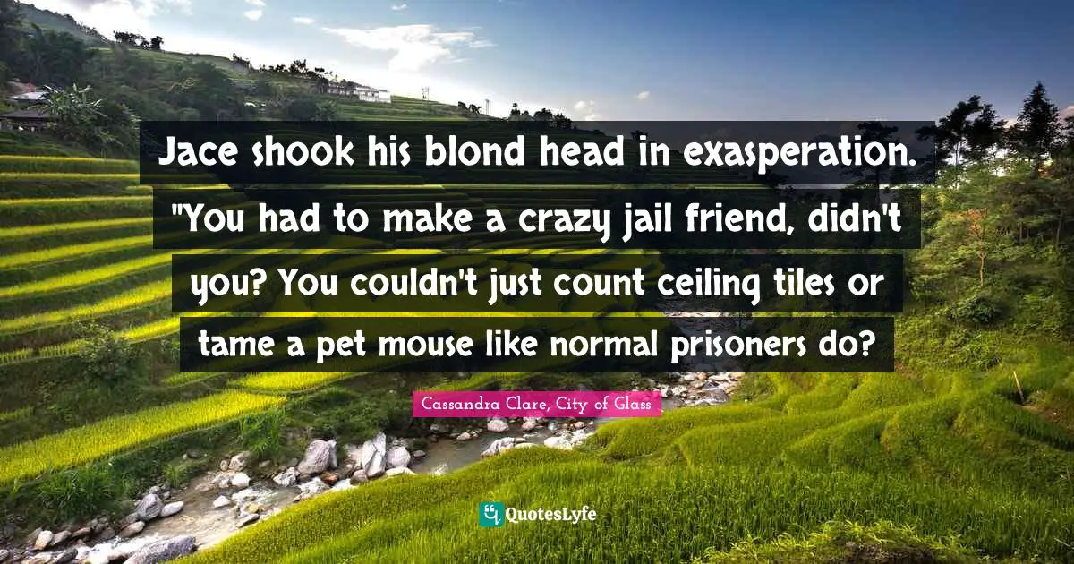 Cassandra Clare, City Of Glass Quotes: "Jace shook his blond head in exasperation. "You had to make a crazy jail friend, didn't you? You couldn't just count ceiling tiles or tame a pet mouse like normal prisoners do?"