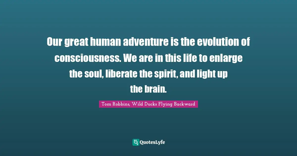 Our great human adventure is the evolution of consciousness. We are in this life to enlarge the soul, liberate the spirit, and light up the brain.