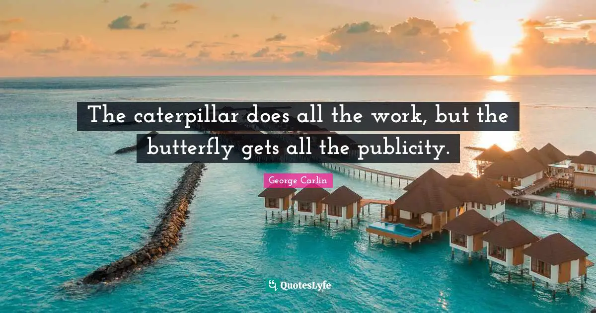 George Carlin Quotes: "The caterpillar does all the work, but the butterfly gets all the publicity."