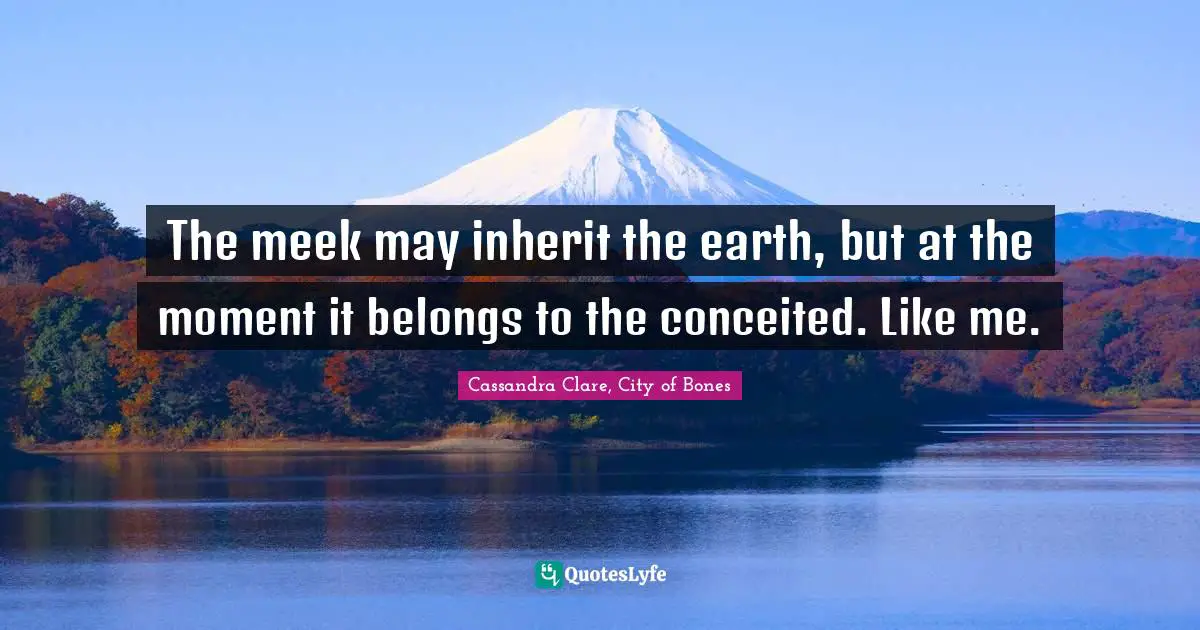 The meek may inherit the earth, but at the moment it belongs to the conceited. Like me.