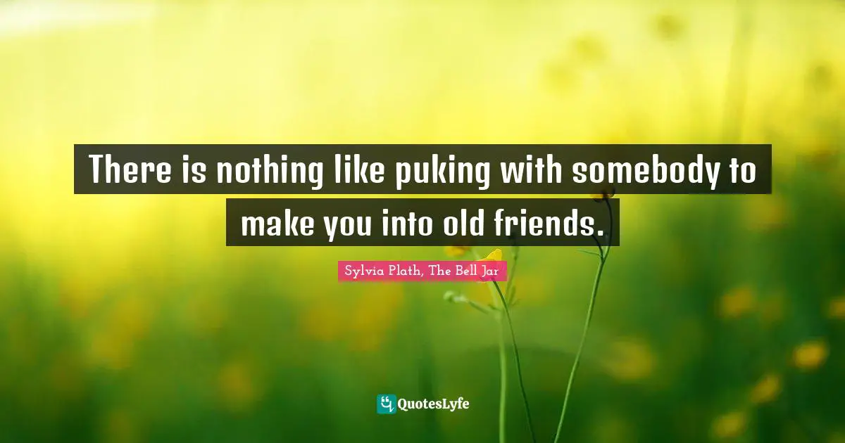 There is nothing like puking with somebody to make you into old friends.