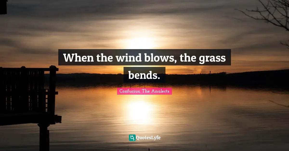 When the wind blows, the grass bends.