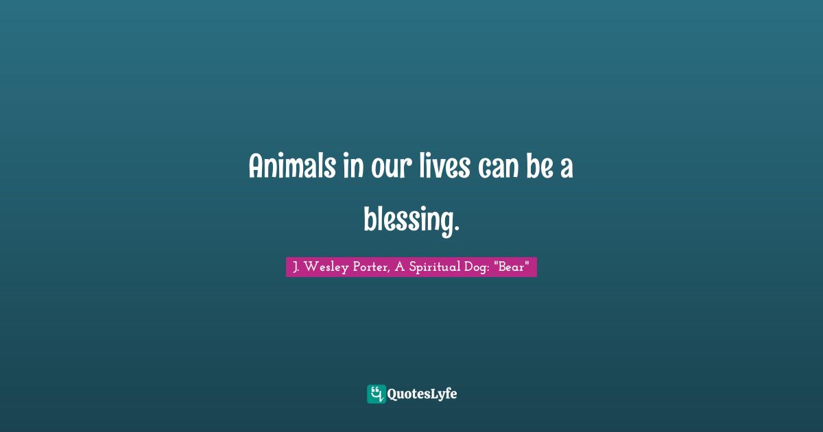 Animals in our lives can be a blessing.