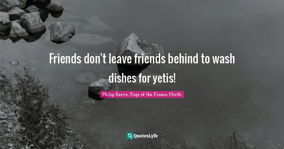 Friends don't leave friends behind to wash dishes for yetis!