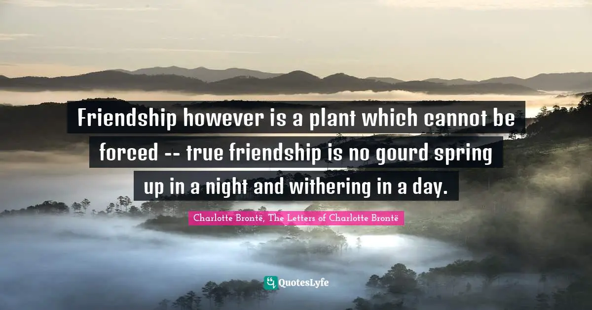 Friendship however is a plant which cannot be forced -- true friendship is no gourd spring up in a night and withering in a day.