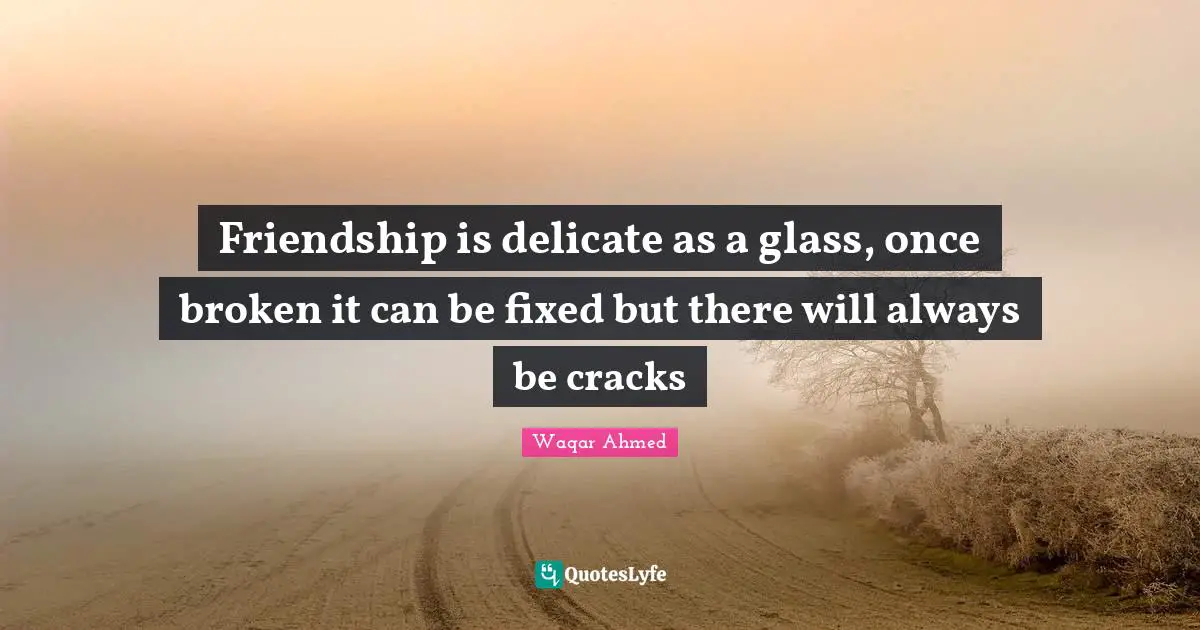 Friendship is delicate as a glass, once broken it can be fixed but there will always be cracks