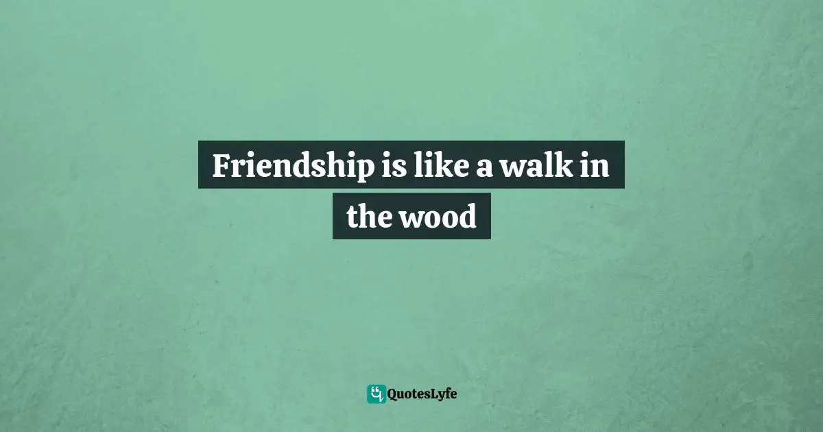 Friendship is like a walk in the wood