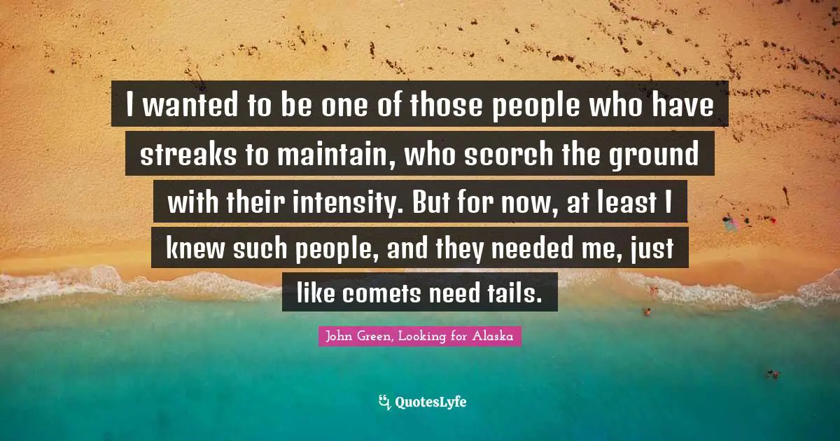 I wanted to be one of those people who have streaks to maintain, who scorch the ground with their intensity. But for now, at least I knew such people, and they needed me, just like comets need tails.