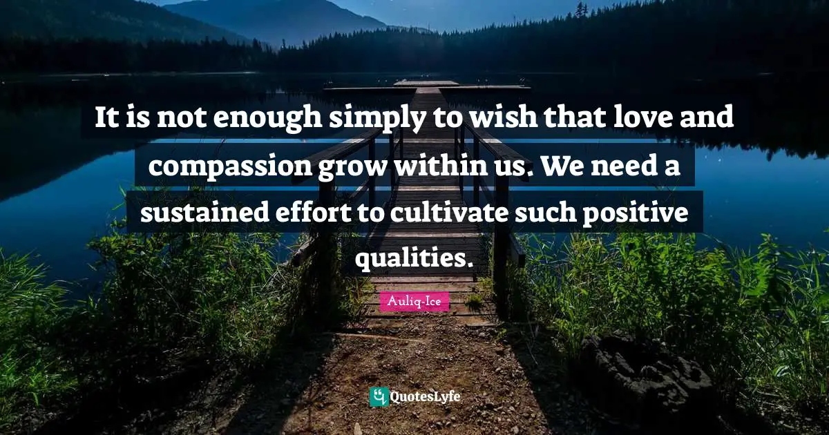 It is not enough simply to wish that love and compassion grow within us. We need a sustained effort to cultivate such positive qualities.